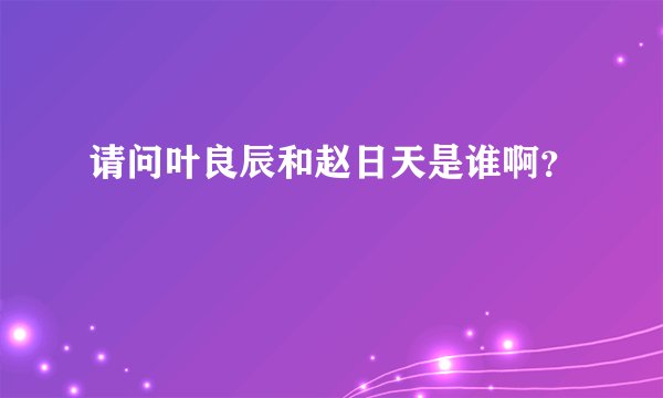 请问叶良辰和赵日天是谁啊？