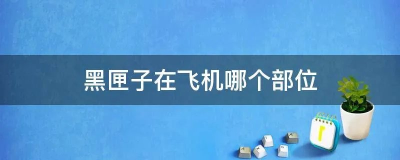 黑匣子在飞机哪个部位