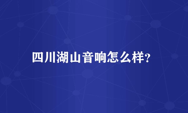 四川湖山音响怎么样？