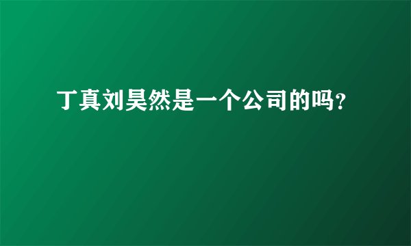 丁真刘昊然是一个公司的吗？
