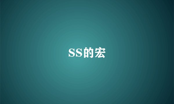 SS的宏