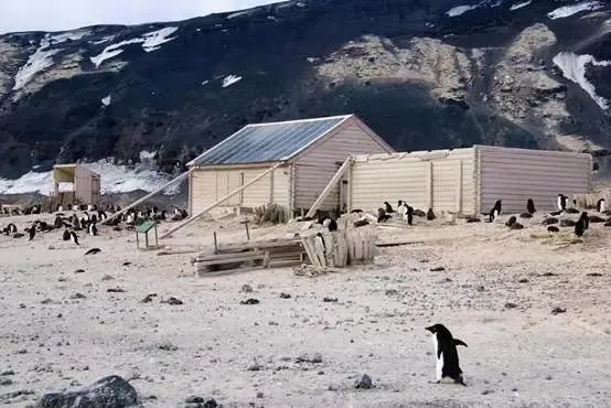 研究员在南极发现100年前水果蛋糕，几乎可以食用，这是为什么？