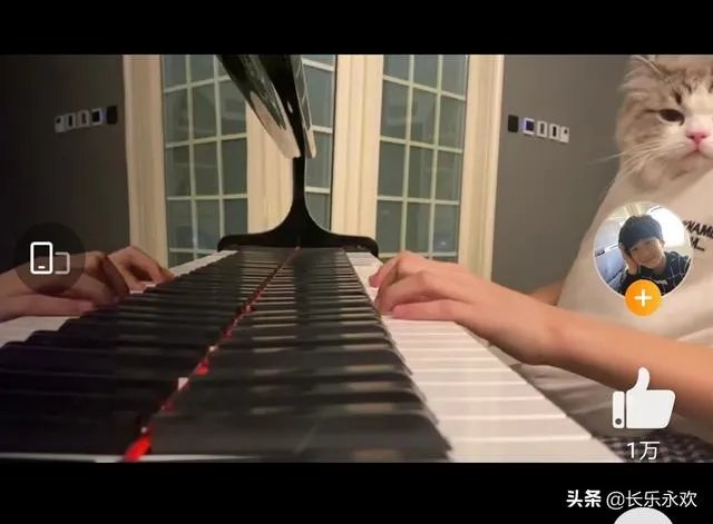张亮的儿子天天如今长的怎样了?