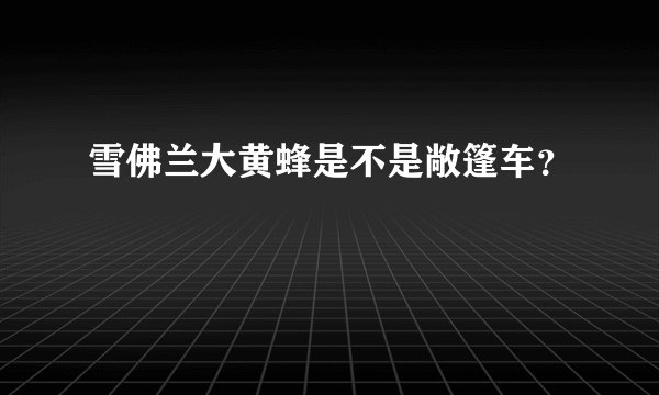 雪佛兰大黄蜂是不是敞篷车?