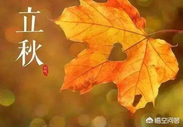 农村立秋当天忌讳