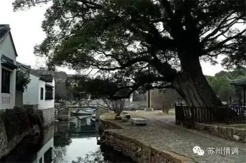 苏州有哪些值得一看的古建筑?