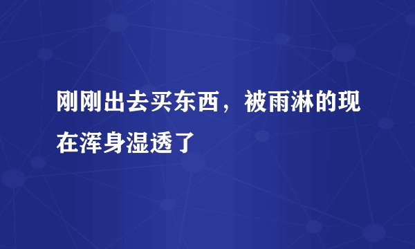 刚刚出去买东西，被雨淋的现在浑身湿透了