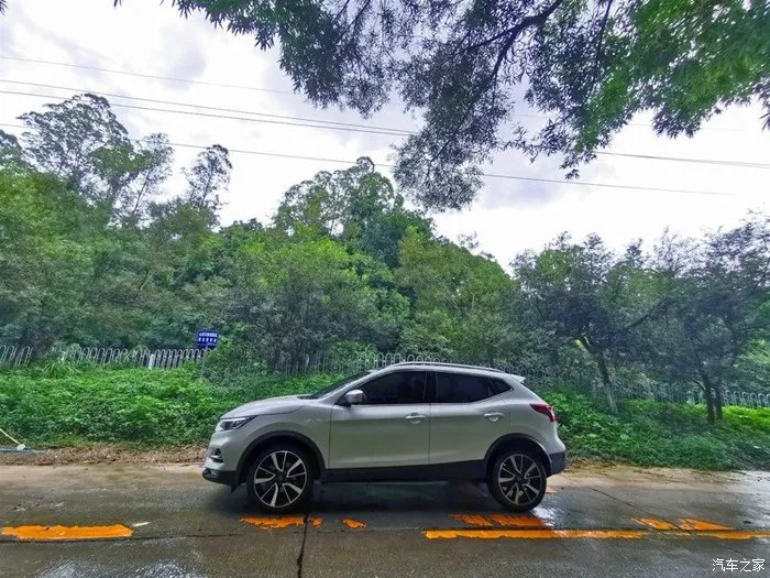 少无适俗韵,性本爱丘山,记逍客的雨林之行!