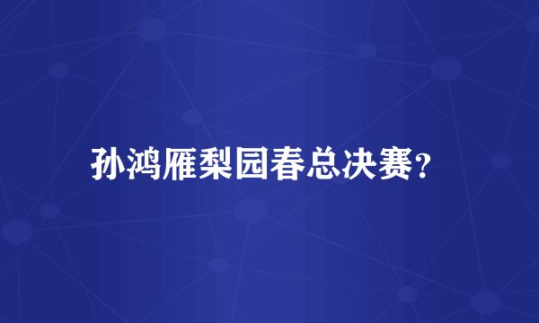 孙鸿雁梨园春总决赛？