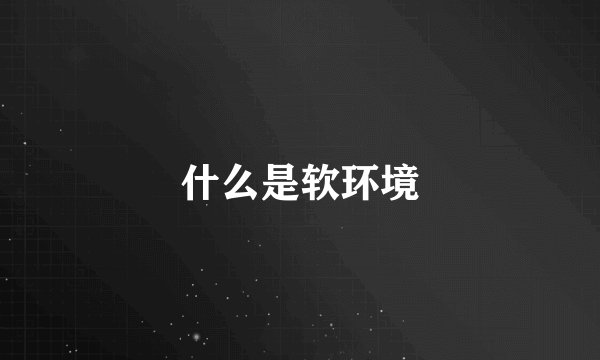 什么是软环境