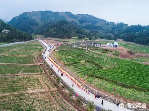 农村租地一亩地租金600,农民觉得划算吗?愿意租吗?