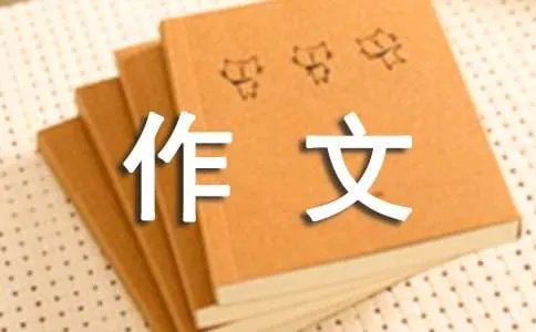 过大年作文