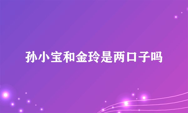 孙小宝和金玲是两口子吗