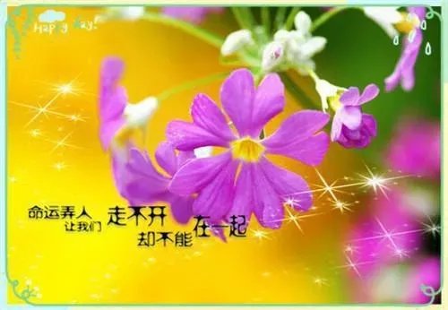 苏晨林若雪小说 苏晨林若雪美女总裁的超品高手免费阅读
