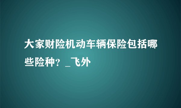 大家财险机动车辆保险包括哪些险种？_飞外