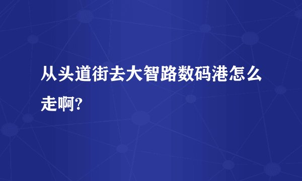 从头道街去大智路数码港怎么走啊?