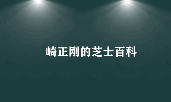 楢崎正刚的芝士百科