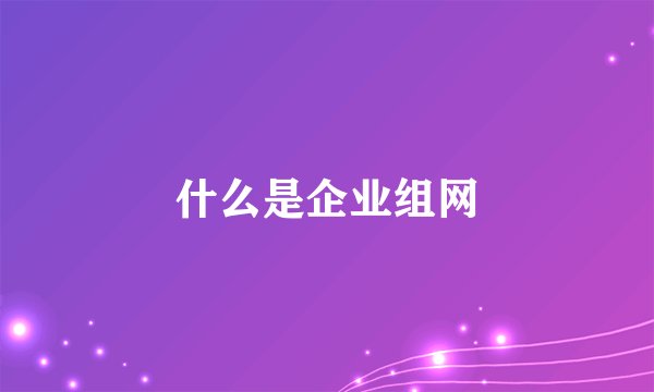 什么是企业组网