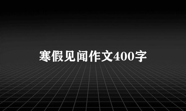 寒假见闻作文400字