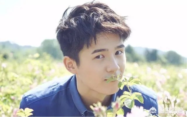 为什么说佟丽娅才是刘昊然的伯乐呢?