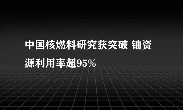 中国核燃料研究获突破 铀资源利用率超95%