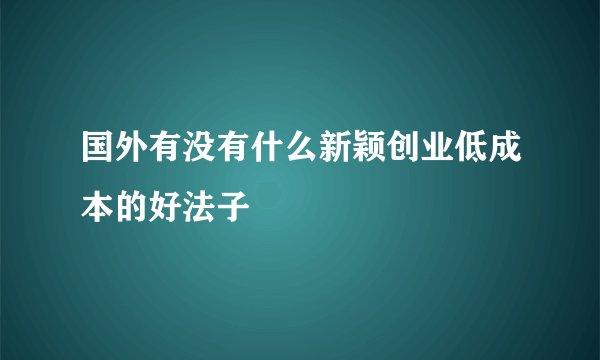 国外有没有什么新颖创业低成本的好法子