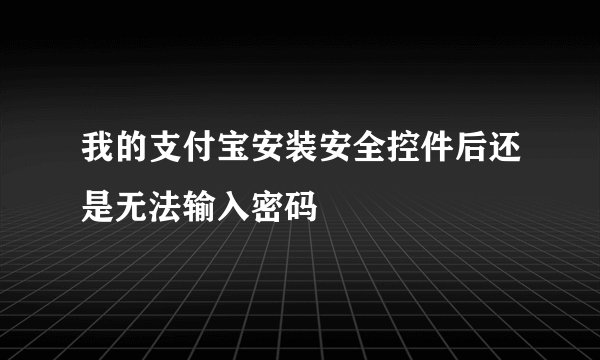 我的支付宝安装安全控件后还是无法输入密码