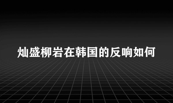 灿盛柳岩在韩国的反响如何