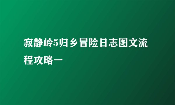 寂静岭5归乡冒险日志图文流程攻略一
