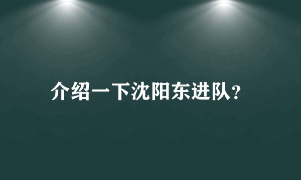 介绍一下沈阳东进队？