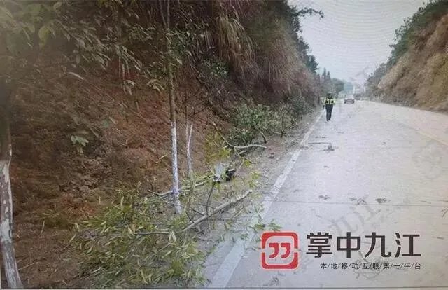 如何看待江西九江女司机开车睡着连撞18棵树?