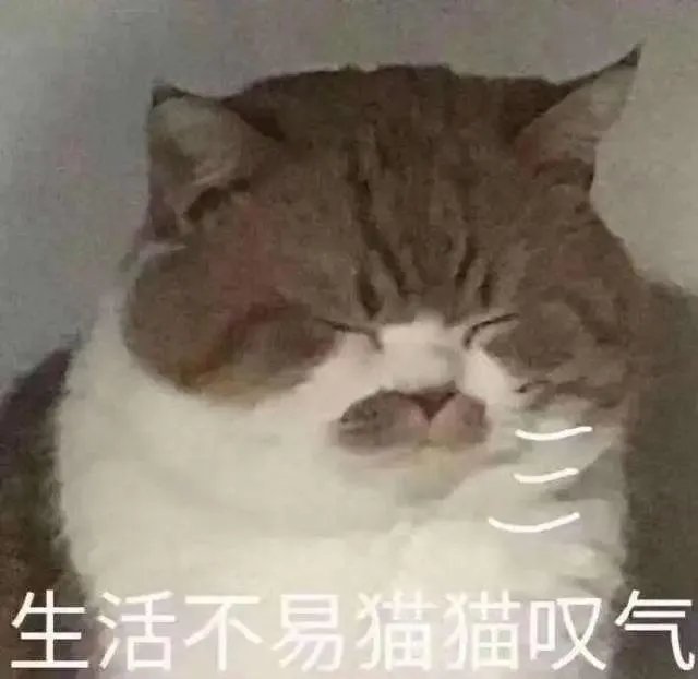 “不坐班”的网约车司机,其实天天都困在移动格子间里