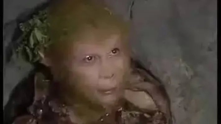 西游记这一真相竟骗了我们30年（组图）
