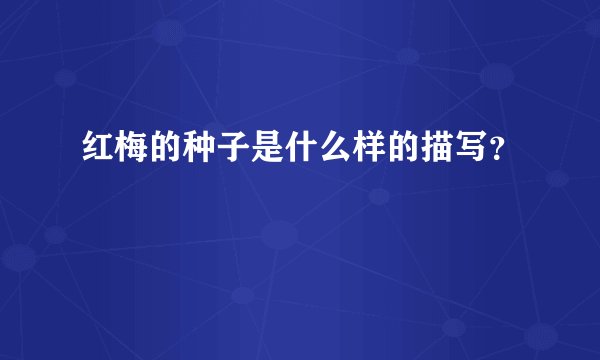 红梅的种子是什么样的描写？