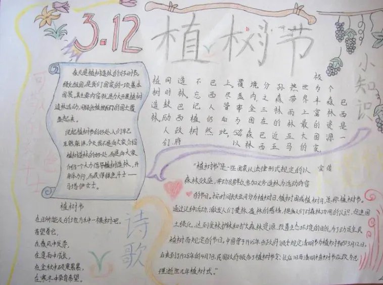 植树节手抄报简单又漂亮字少