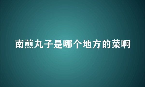 南煎丸子是哪个地方的菜啊