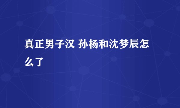 真正男子汉 孙杨和沈梦辰怎么了