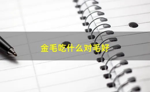 金毛吃什么对毛好