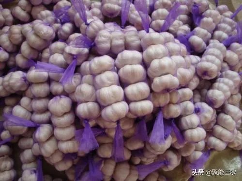 大蒜降价了