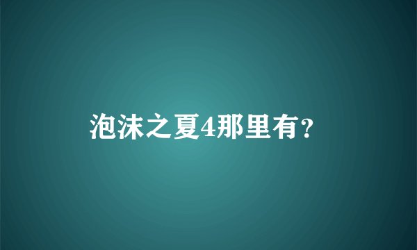 泡沫之夏4那里有？