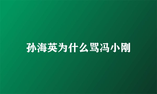 孙海英为什么骂冯小刚