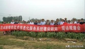 点施肥器好用吗