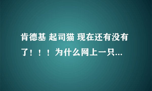肯德基 起司猫 现在还有没有了！！！为什么网上一只就卖到50多！