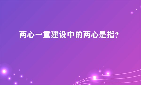 两心一重建设中的两心是指？