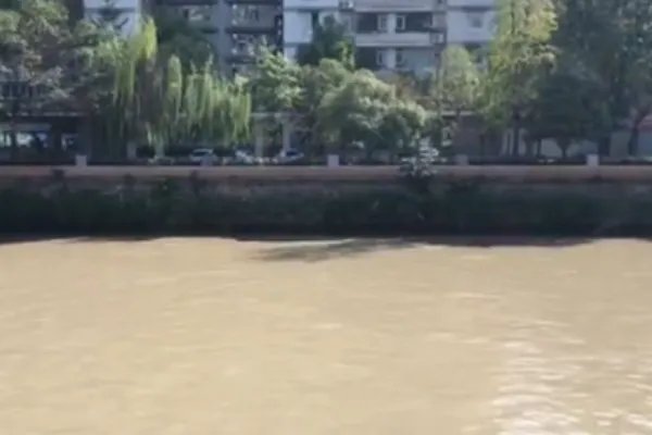 的哥救轻生女子被水冲走,她想死,为何要救她?