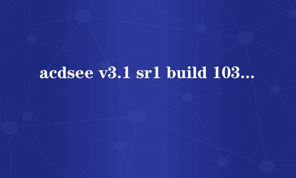 acdsee v3.1 sr1 build 1030 汉化版
