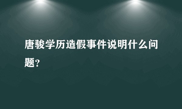 唐骏学历造假事件说明什么问题？