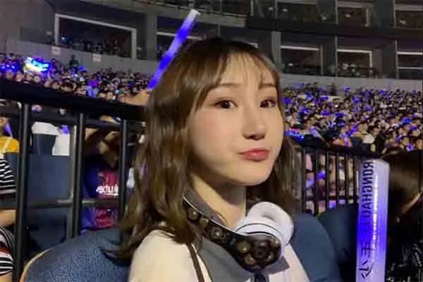绿色歌词表达了什么感情?