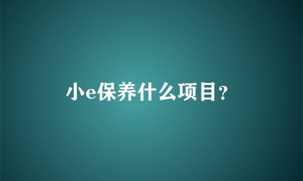 小e保养什么项目？