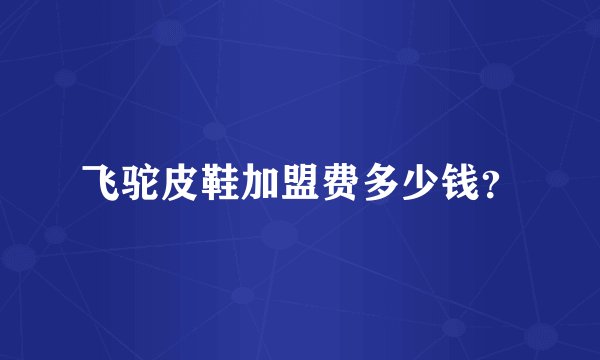 飞驼皮鞋加盟费多少钱？